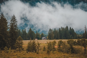 雾气朦胧山野房屋树林风景摄影图片